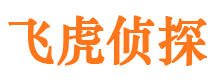 温江市私家侦探